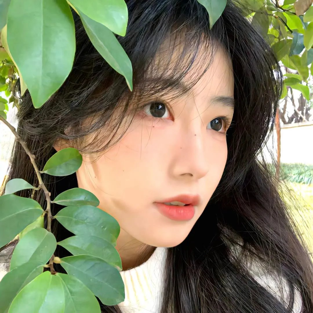 桃花开好了