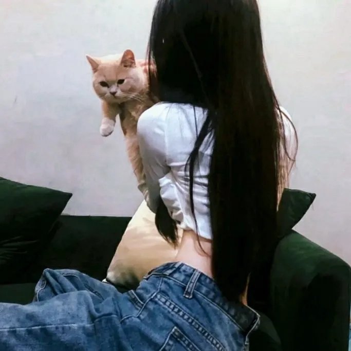 游戏王：次元的黑暗面